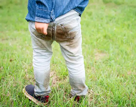 Grass